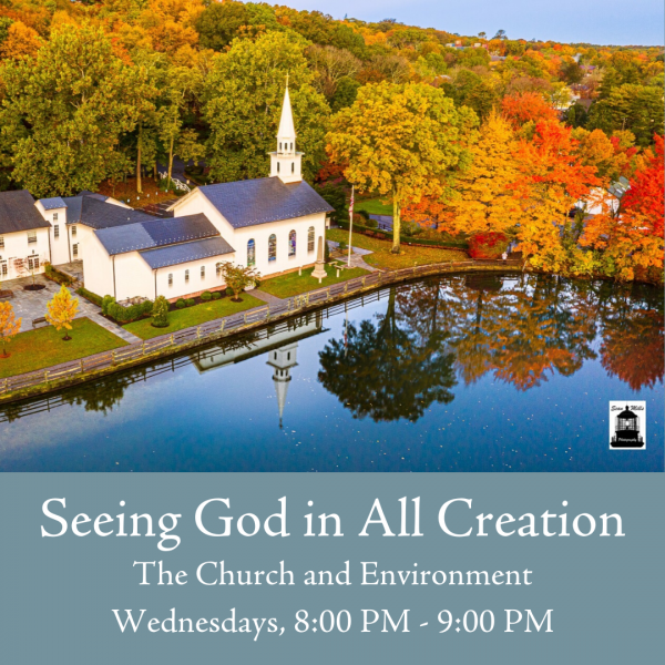 Seeing God in all Creation: The Church and the Environment